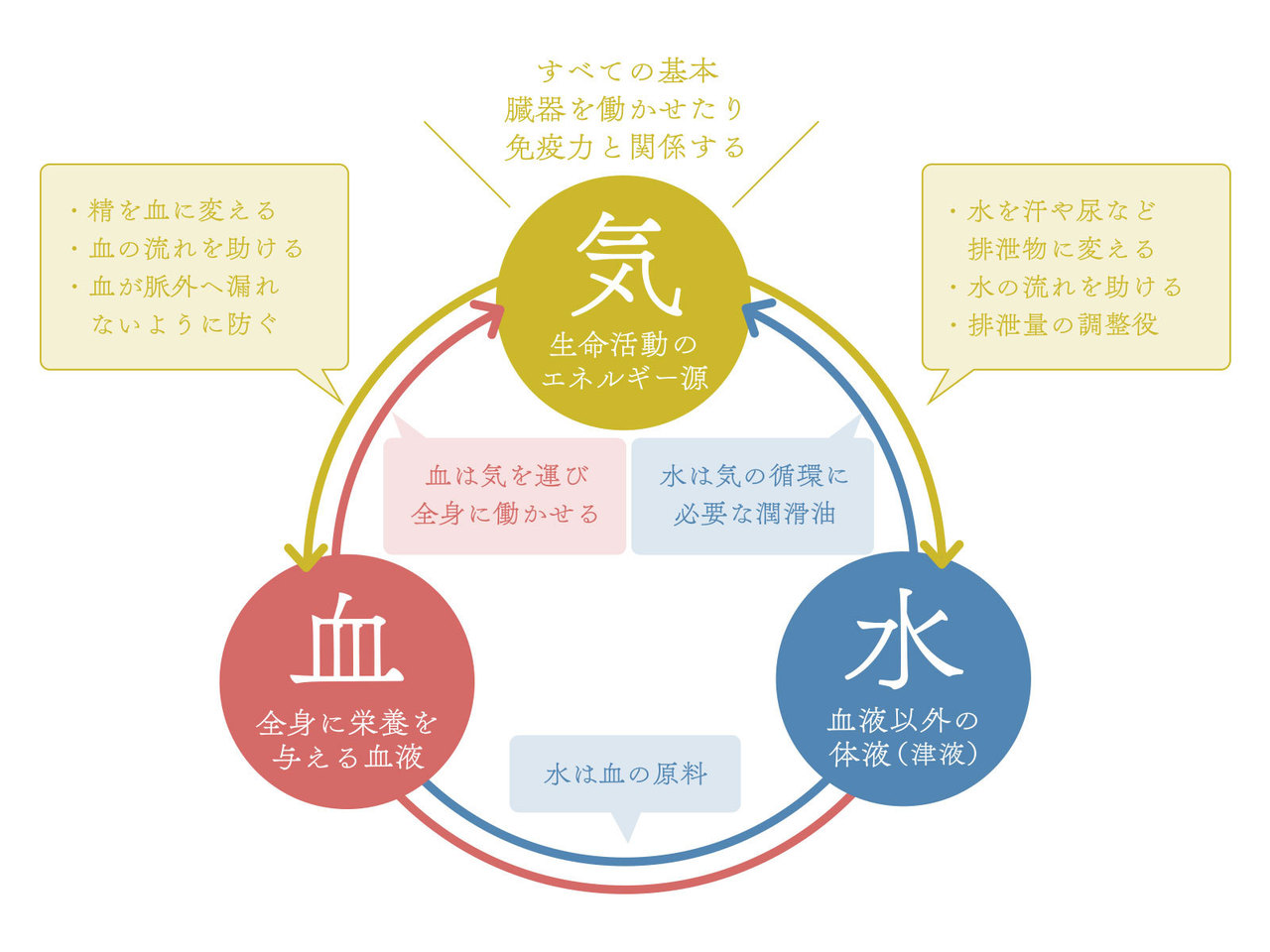 東洋医学で考える便秘