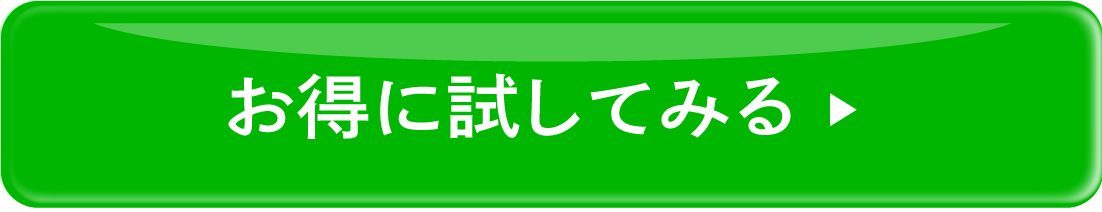 お得に試してみる←クリック！